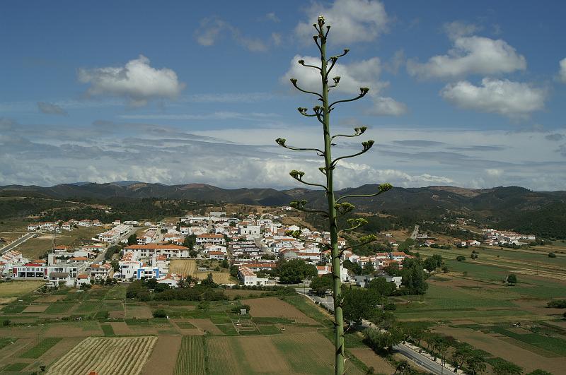 PICT4219.JPG