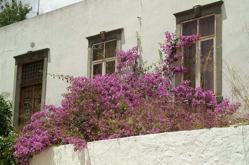 PICT4369.JPG