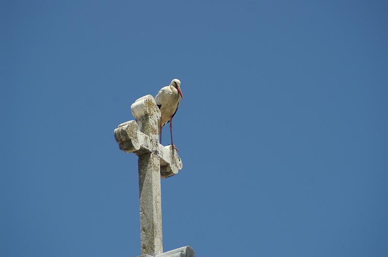 PICT4412.JPG