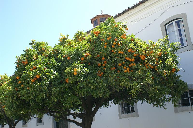 PICT4431.JPG