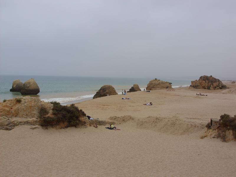 SN851350.JPG