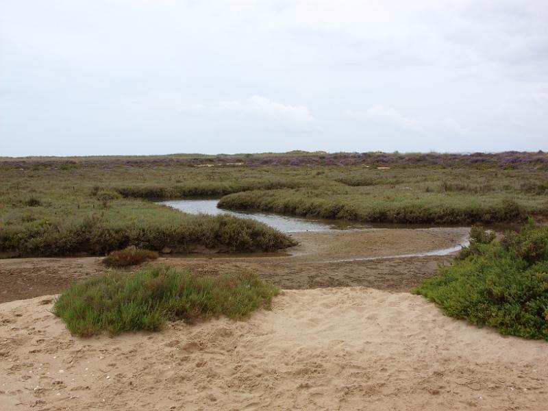 SN851395.JPG
