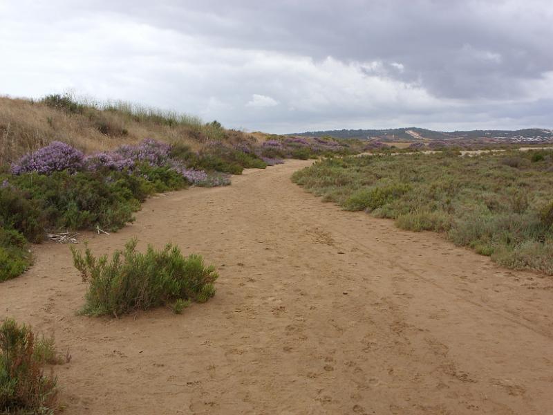 SN851398.JPG