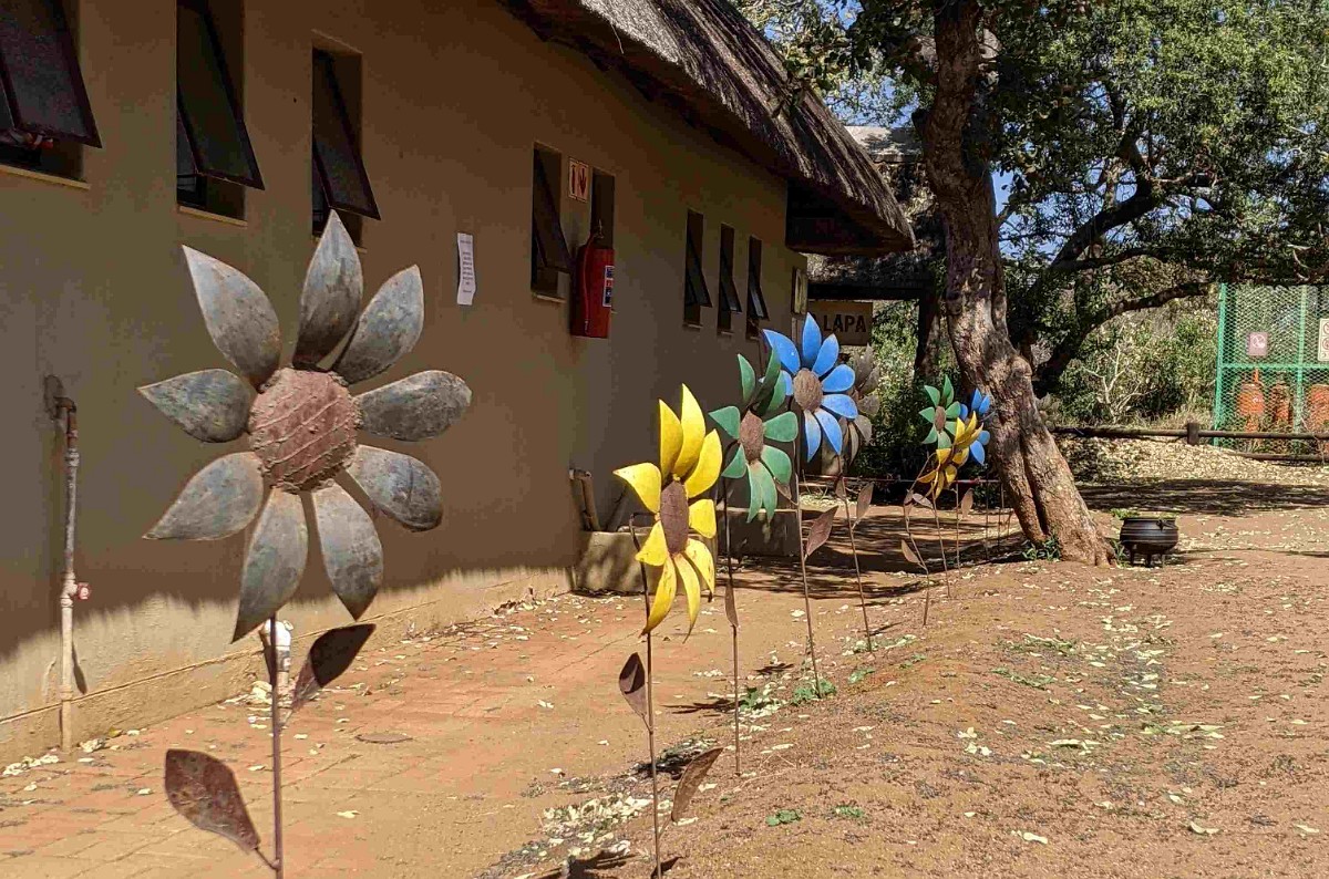 PXL_20220816_100343128