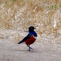 P1100015