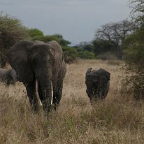 P1100078